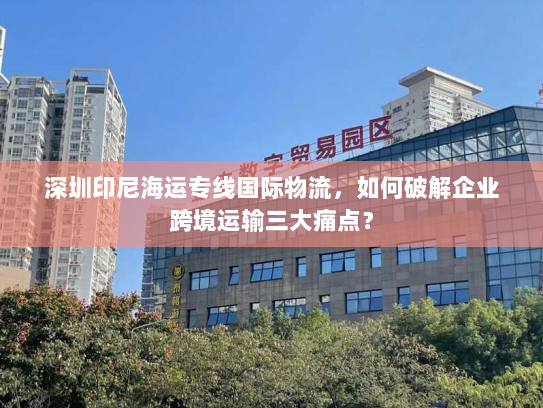 深圳印尼海运专线国际物流，如何破解企业跨境运输三大痛点？