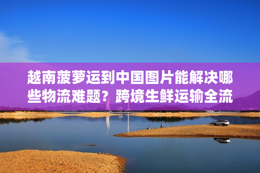 越南菠萝运到中国图片能解决哪些物流难题？跨境生鲜运输全流程解析