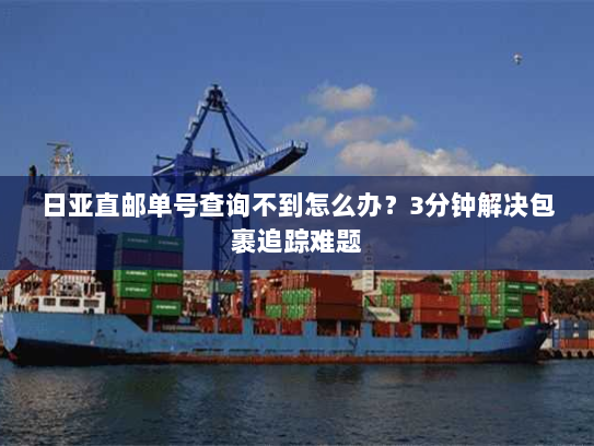 日亚直邮单号查询不到怎么办？3分钟解决包裹追踪难题