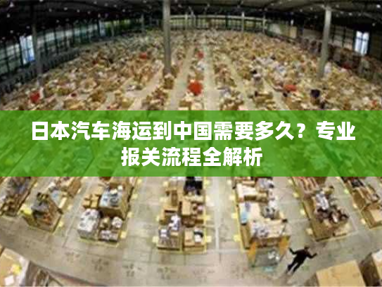 日本汽车海运到中国需要多久？专业报关流程全解析