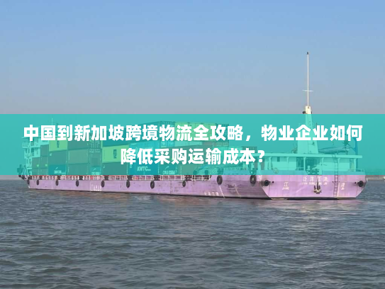 中国到新加坡跨境物流全攻略，物业企业如何降低采购运输成本？