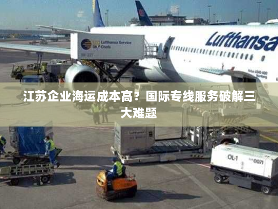 江苏企业海运成本高？国际专线服务破解三大难题