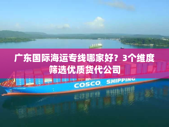 广东国际海运专线哪家好？3个维度筛选优质货代公司