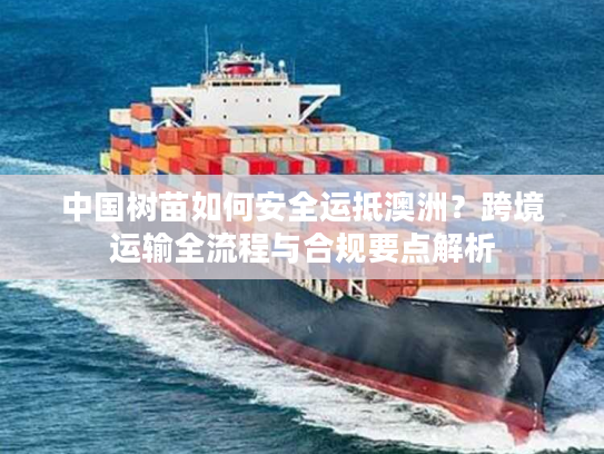 中国树苗如何安全运抵澳洲？跨境运输全流程与合规要点解析