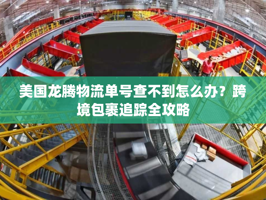 美国龙腾物流单号查不到怎么办？跨境包裹追踪全攻略