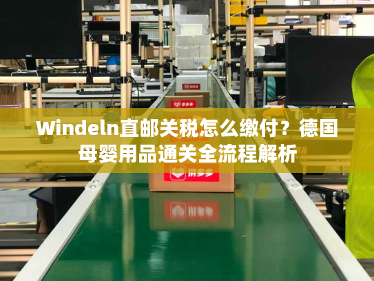 Windeln直邮关税怎么缴付？德国母婴用品通关全流程解析