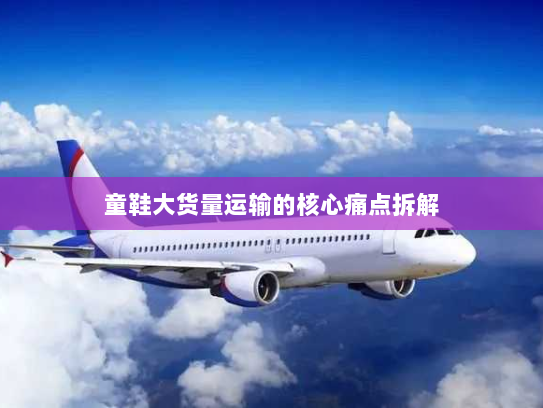 童鞋大货量运输的核心痛点拆解