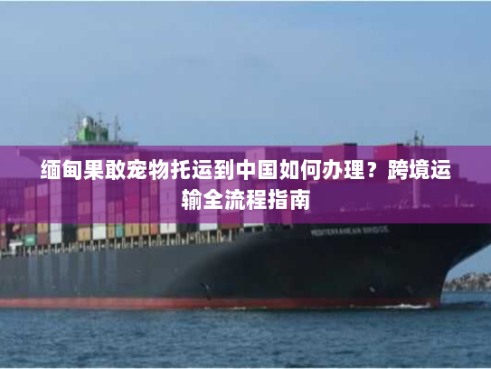 缅甸果敢宠物托运到中国如何办理?跨境运输全流程指南 缅甸果敢宠物托运到中国如何办理?跨境运输全流程指南