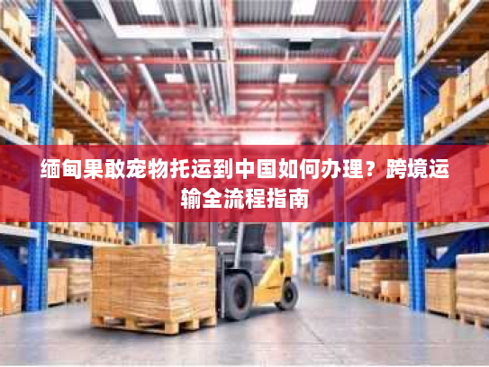 缅甸果敢宠物托运到中国如何办理?跨境运输全流程指南 缅甸果敢宠物托运到中国如何办理?跨境运输全流程指南