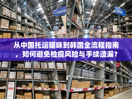 从中国托运猫咪到韩国全流程指南,如何避免检疫风险与手续遗漏? 从中国托运猫咪到韩国全流程指南,如何避免检疫风险与手续遗漏?