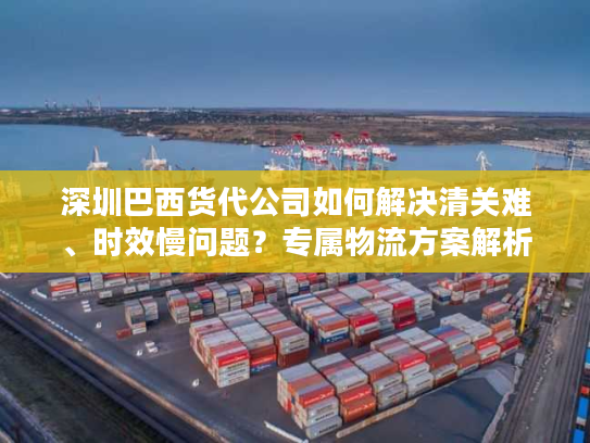 深圳巴西货代公司如何解决清关难、时效慢问题?专属物流方案解析 深圳巴西货代公司如何解决清关难、时效慢问题?专属物流方案解析