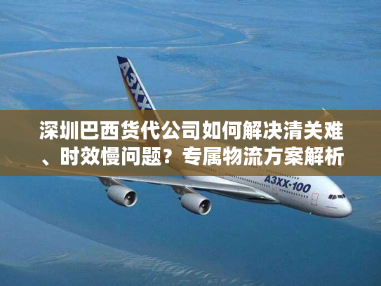 深圳巴西货代公司如何解决清关难、时效慢问题?专属物流方案解析 深圳巴西货代公司如何解决清关难、时效慢问题?专属物流方案解析