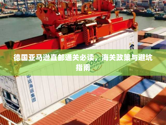 德国亚马逊直邮通关必读,海关政策与避坑指南 德国亚马逊直邮通关必读,海关政策与避坑指南