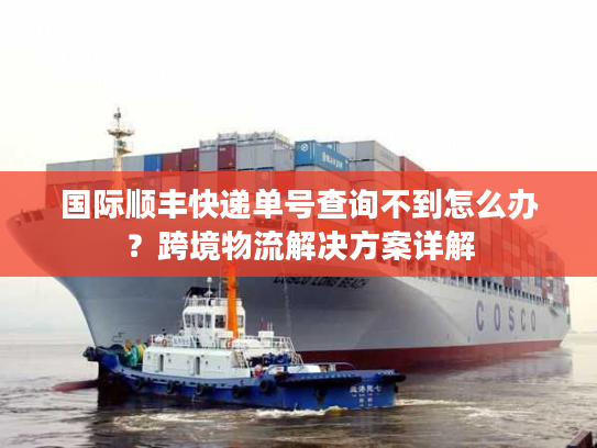 国际顺丰快递单号查询不到怎么办？跨境物流解决方案详解
