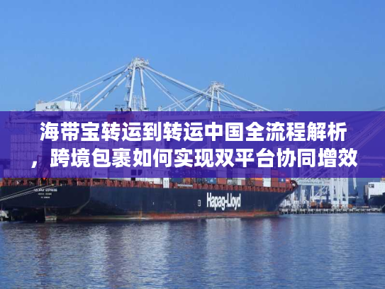 海带宝转运到转运中国全流程解析，跨境包裹如何实现双平台协同增效？
