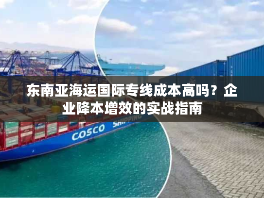 东南亚海运国际专线成本高吗？企业降本增效的实战指南