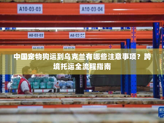 中国宠物狗运到乌克兰有哪些注意事项？跨境托运全流程指南