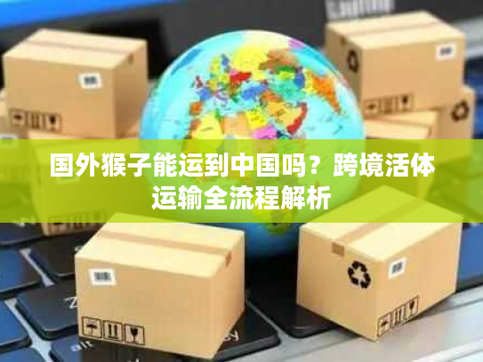 国外猴子能运到中国吗？跨境活体运输全流程解析