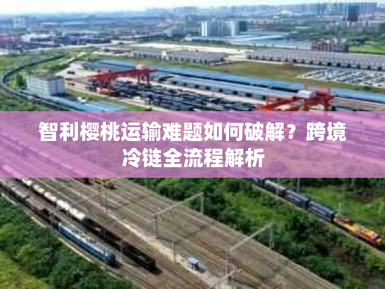 智利樱桃运输难题如何破解？跨境冷链全流程解析