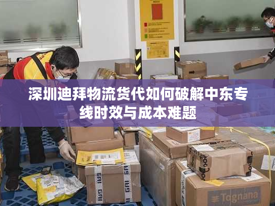 深圳迪拜物流货代如何破解中东专线时效与成本难题