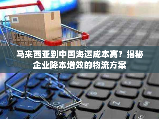 马来西亚到中国海运成本高？揭秘企业降本增效的物流方案