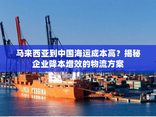 马来西亚到中国海运成本高？揭秘企业降本增效的物流方案