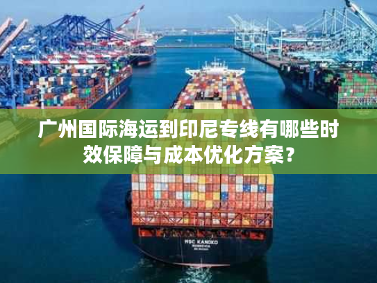 广州国际海运到印尼专线有哪些时效保障与成本优化方案？