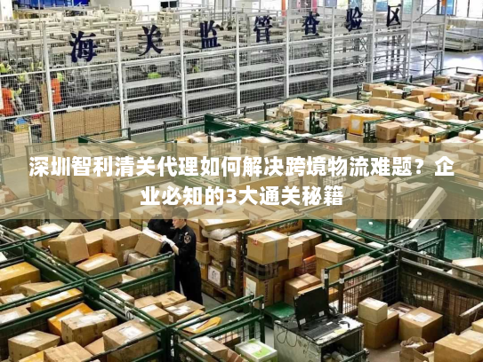 深圳智利清关代理如何解决跨境物流难题?企业必知的3大通关秘籍 深圳智利清关代理如何解决跨境物流难题?企业必知的3大通关秘籍