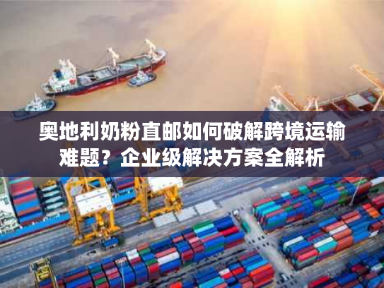 奥地利奶粉直邮如何破解跨境运输难题？企业级解决方案全解析