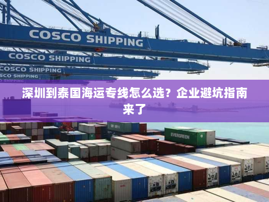 深圳到泰国海运专线怎么选？企业避坑指南来了