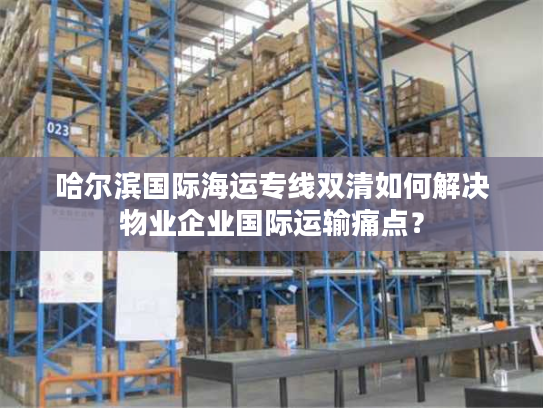 哈尔滨国际海运专线双清如何解决物业企业国际运输痛点？