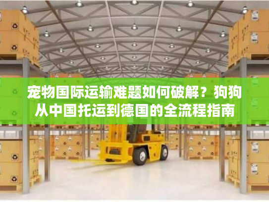 宠物国际运输难题如何破解？狗狗从中国托运到德国的全流程指南