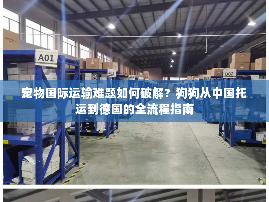 宠物国际运输难题如何破解？狗狗从中国托运到德国的全流程指南