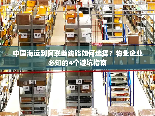 中国海运到阿联酋线路如何选择?物业企业必知的4个避坑指南 中国海运到阿联酋线路如何选择?物业企业必知的4个避坑指南