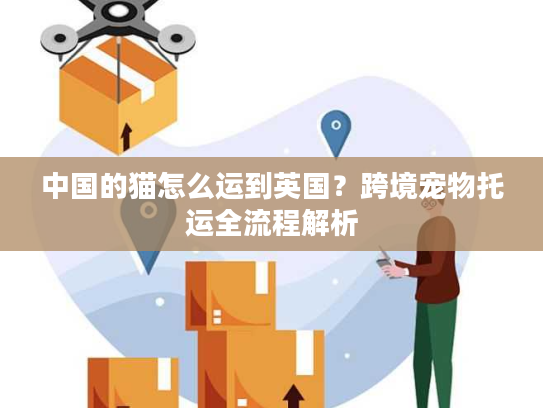 中国的猫怎么运到英国？跨境宠物托运全流程解析