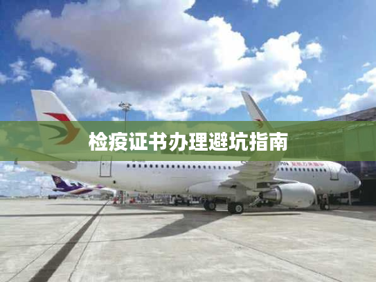 检疫证书办理避坑指南