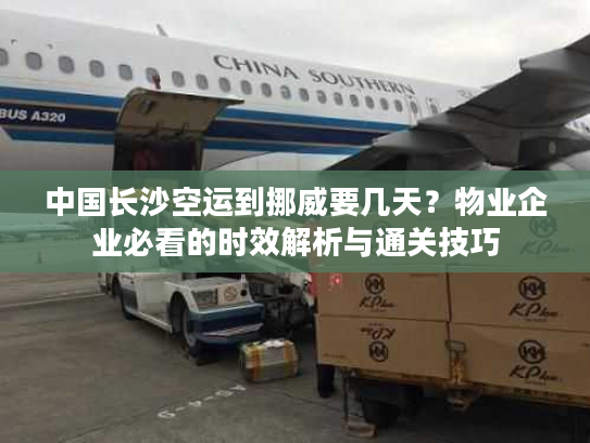 中国长沙空运到挪威要几天？物业企业必看的时效解析与通关技巧