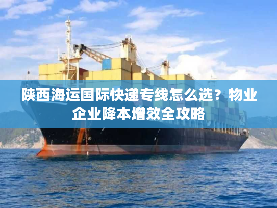陕西海运国际快递专线怎么选？物业企业降本增效全攻略