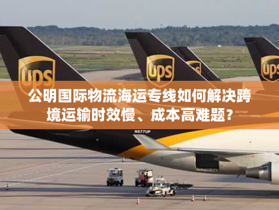 公明国际物流海运专线如何解决跨境运输时效慢、成本高难题？