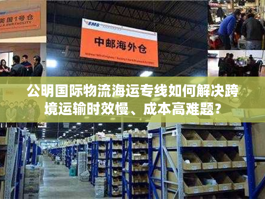 公明国际物流海运专线如何解决跨境运输时效慢、成本高难题？