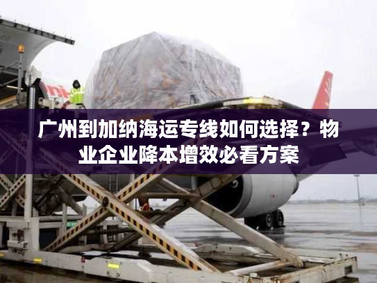 广州到加纳海运专线如何选择？物业企业降本增效必看方案