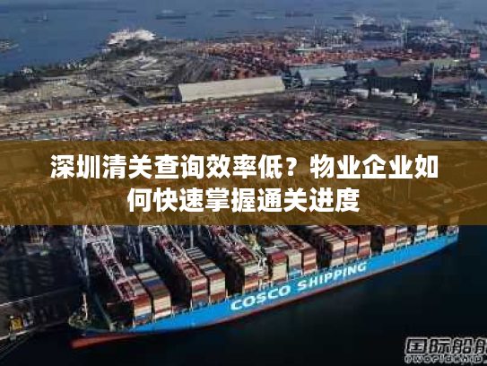 深圳清关查询效率低？物业企业如何快速掌握通关进度