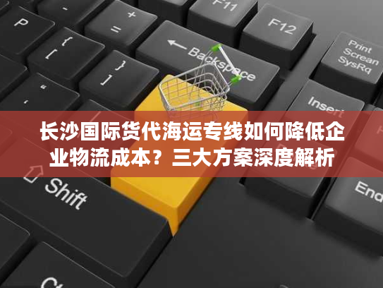 长沙国际货代海运专线如何降低企业物流成本？三大方案深度解析