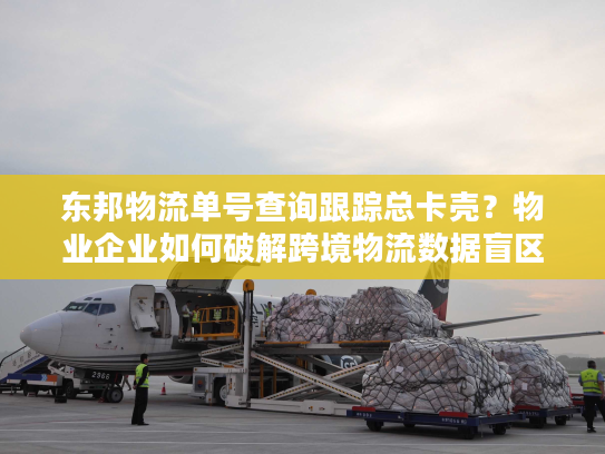 东邦物流单号查询跟踪总卡壳？物业企业如何破解跨境物流数据盲区