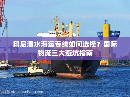 印尼泗水海运专线如何选择？国际物流三大避坑指南