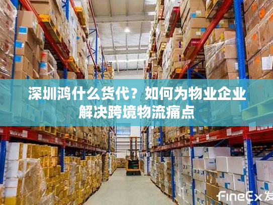 深圳鸿什么货代?如何为物业企业解决跨境物流痛点 深圳鸿什么货代?如何为物业企业解决跨境物流痛点