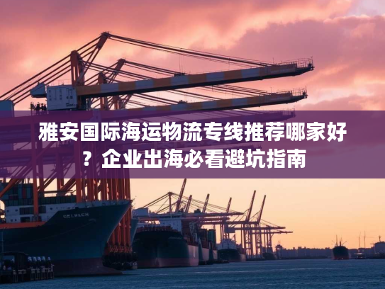 雅安国际海运物流专线推荐哪家好？企业出海必看避坑指南