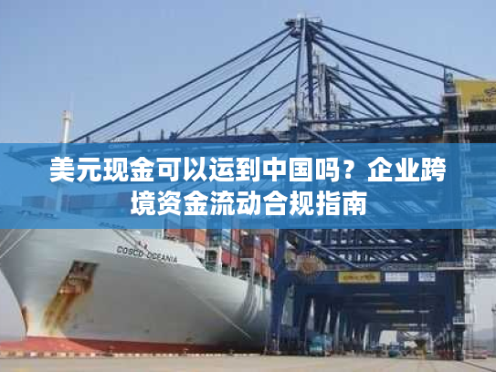 美元现金可以运到中国吗？企业跨境资金流动合规指南