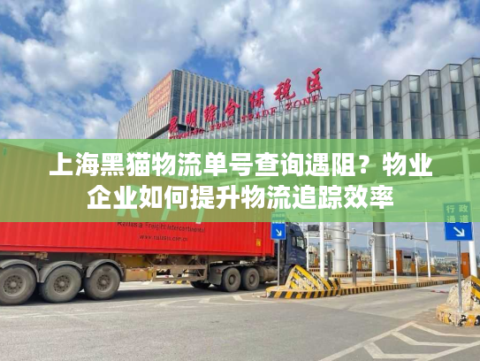 上海黑猫物流单号查询遇阻？物业企业如何提升物流追踪效率