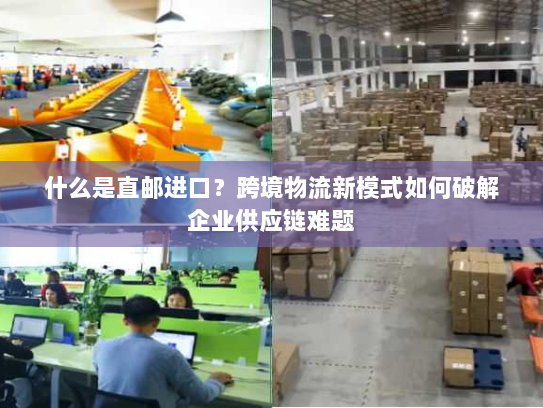 什么是直邮进口？跨境物流新模式如何破解企业供应链难题